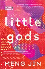 Little Gods цена и информация | Фантастика, фэнтези | kaup24.ee
