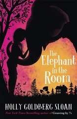 Elephant in the Room цена и информация | Книги для подростков и молодежи | kaup24.ee