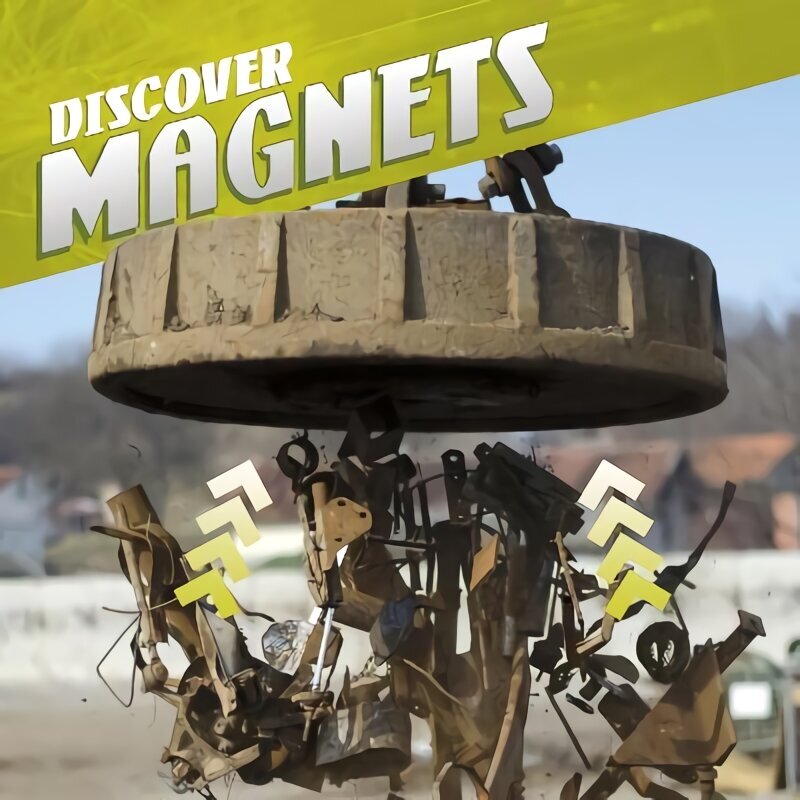 Discover Magnets цена и информация | Noortekirjandus | kaup24.ee