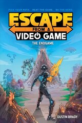 Escape from a Video Game: The Endgame hind ja info | Noortekirjandus | kaup24.ee