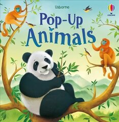 Pop-Up Animals hind ja info | Väikelaste raamatud | kaup24.ee