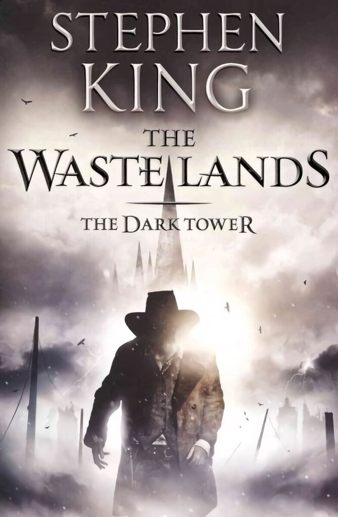 Dark Tower III: The Waste Lands: (Volume 3), Bk. III, Waste Lands hind ja info | Fantaasia, müstika | kaup24.ee