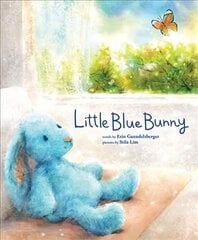 Little Blue Bunny цена и информация | Книги для подростков и молодежи | kaup24.ee