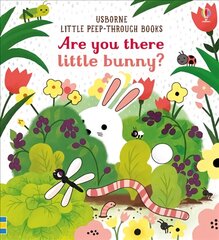 Are you there little Bunny UK 2017 цена и информация | Книги для малышей | kaup24.ee