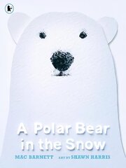 Polar Bear in the Snow hind ja info | Väikelaste raamatud | kaup24.ee