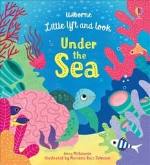 Little Lift and Look Under the Sea цена и информация | Книги для малышей | kaup24.ee