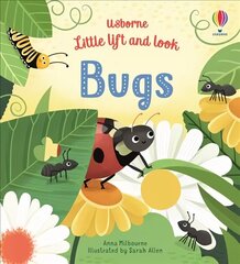 Little Lift and Look Bugs hind ja info | Väikelaste raamatud | kaup24.ee