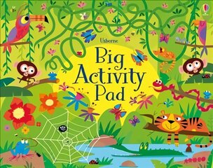 Big Activity Pad цена и информация | Книги для малышей | kaup24.ee