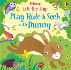 Play Hide and Seek with Bunny hind ja info | Väikelaste raamatud | kaup24.ee