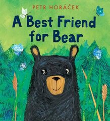 Best Friend for Bear цена и информация | Книги для малышей | kaup24.ee