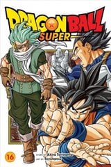 Dragon Ball Super, Vol. 16 hind ja info | Fantaasia, müstika | kaup24.ee