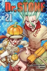 Dr. STONE, Vol. 21 hind ja info | Fantaasia, müstika | kaup24.ee