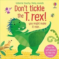 Don't tickle the T. rex! hind ja info | Väikelaste raamatud | kaup24.ee