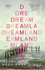 Dreamland: An Evening Standard 'Best New Book' of 2021 цена и информация | Фантастика, фэнтези | kaup24.ee