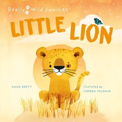 Little Lion: A Day in the Life of a Lion Cub цена и информация | Книги для малышей | kaup24.ee