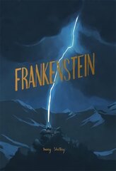 Frankenstein hind ja info | Fantaasia, müstika | kaup24.ee