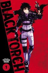 Black Torch, Vol. 1 цена и информация | Фантастика, фэнтези | kaup24.ee