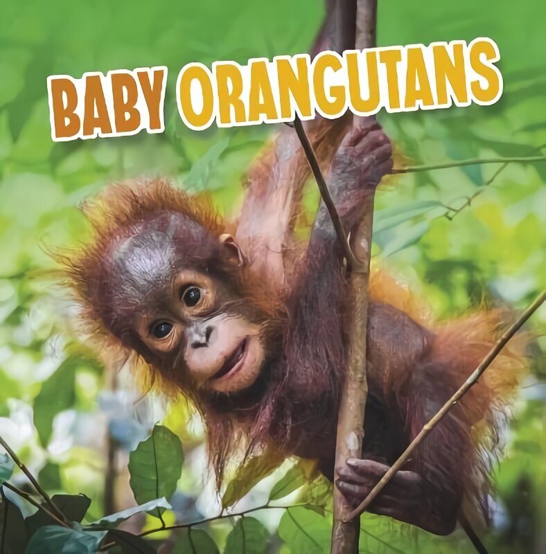 Baby Orangutans цена и информация | Noortekirjandus | kaup24.ee