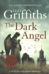 Dark Angel: The Sunday Times Bestseller цена и информация | Фантастика, фэнтези | kaup24.ee