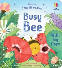 Little Lift and Look Busy Bee цена и информация | Книги для малышей | kaup24.ee