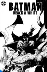 Batman: Black & White цена и информация | Фантастика, фэнтези | kaup24.ee