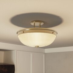 Потолочный светильник Elstead Lighting Mantle QZ-MANTLE-SF-WS цена и информация | Потолочные светильники | kaup24.ee