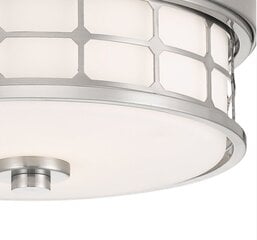 Потолочный светильник для ванной комнаты Elstead Lighting Guardian QZ-GUARDIAN-F-BN цена и информация | Потолочные светильники | kaup24.ee