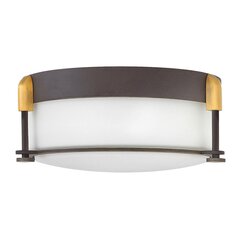 Потолочный светильник для ванной комнаты Elstead Lighting Colbin HK-COLBIN-F-S-OZ цена и информация | Потолочные светильники | kaup24.ee