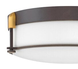 Потолочный светильник для ванной комнаты Elstead Lighting Colbin HK-COLBIN-F-M-OZ цена и информация | Потолочные светильники | kaup24.ee