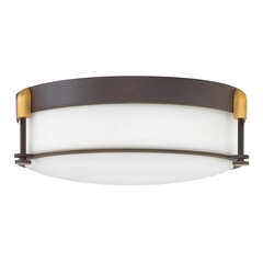 Потолочный светильник для ванной комнаты Elstead Lighting Colbin HK-COLBIN-F-M-OZ цена и информация | Потолочные светильники | kaup24.ee