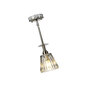 Rippvalgusti Elstead Lighting Agatha BATH-AGATHA1P-BN цена и информация | Rippvalgustid | kaup24.ee