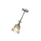 Rippvalgusti Elstead Lighting Agatha BATH-AGATHA1P-BN цена и информация | Rippvalgustid | kaup24.ee