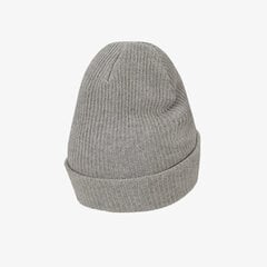 Nike müts NSW BEANIE UTILITY SWOOSH, hall hind ja info | Naiste mütsid ja peapaelad | kaup24.ee