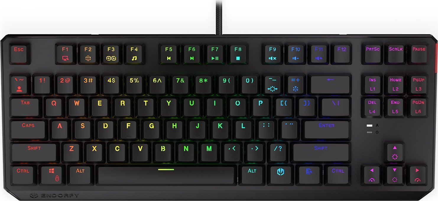 Endorfy Thock TKL Kailh RD RGB цена и информация | Klaviatuurid | kaup24.ee