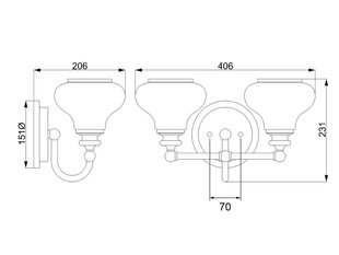 Seinavalgusti Elstead Lighting Ainsley HK-AINSLEY2-BATH hind ja info | Seinavalgustid | kaup24.ee