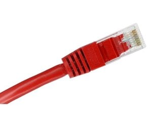 Alantec KKU6CZE0.5, RJ45, 0.5 m hind ja info | Kaablid ja juhtmed | kaup24.ee