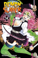 Demon Slayer: Kimetsu no Yaiba, Vol. 14 hind ja info | Fantaasia, müstika | kaup24.ee
