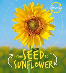 Lifecycles: Seed to Sunflower цена и информация | Книги для подростков и молодежи | kaup24.ee