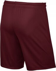 Nike Park II Junior lühikesed püksid, XL suurus hind ja info | Jalgpalli varustus ja riided | kaup24.ee