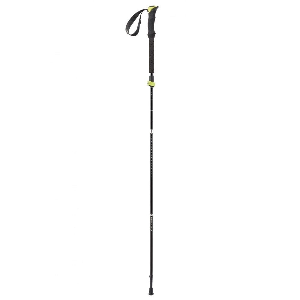 Teleskooppulgad Ferrino Spantik Stick, must, 2 tk. цена и информация | Käimiskepid | kaup24.ee
