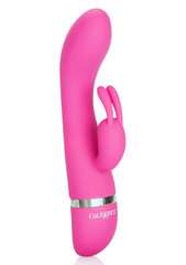 Vibraator Foreplay Frenzy Bunny hind ja info | Vibraatorid | kaup24.ee