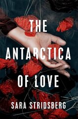 Antarctica of Love hind ja info | Romaanid  | kaup24.ee
