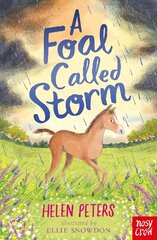 Foal Called Storm цена и информация | Книги для подростков и молодежи | kaup24.ee