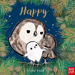 Happy Cased Board Book цена и информация | Книги для малышей | kaup24.ee