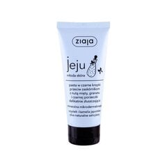 Ziaja Jeju Micro-Exfoliating Face Paste koorija 75 ml цена и информация | Аппараты для ухода за лицом | kaup24.ee