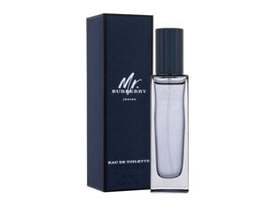 Туалетная вода Burberry Mr Burberry Indigo, 30 мл цена и информация | Мужские духи | kaup24.ee