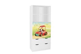 Полка Ami с дверцами 22C, 45x80x195 см цена и информация | Полки для книг и игрушек | kaup24.ee