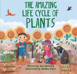 Look and Wonder: The Amazing Plant Life Cycle Story hind ja info | Lasteraamatud | kaup24.ee