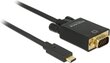 Delock 85262 USB C į VGA 2m. цена и информация | Kaablid ja juhtmed | kaup24.ee