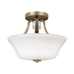 Потолочный светильник Elstead Lighting Evington FE-EVINGTON-SF-SG цена и информация | Потолочные светильники | kaup24.ee